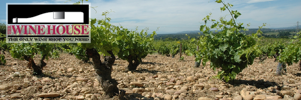 Rare High Scoring Chateauneuf Du Papes Rare High Scoring Chateauneuf Du Papes