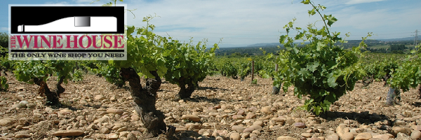 Rare High Scoring Chateauneuf Du Papes